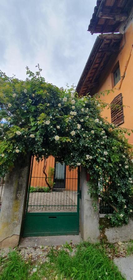 Casa Vacanze Tredis Nogaredo di Prato Dış mekan fotoğraf
